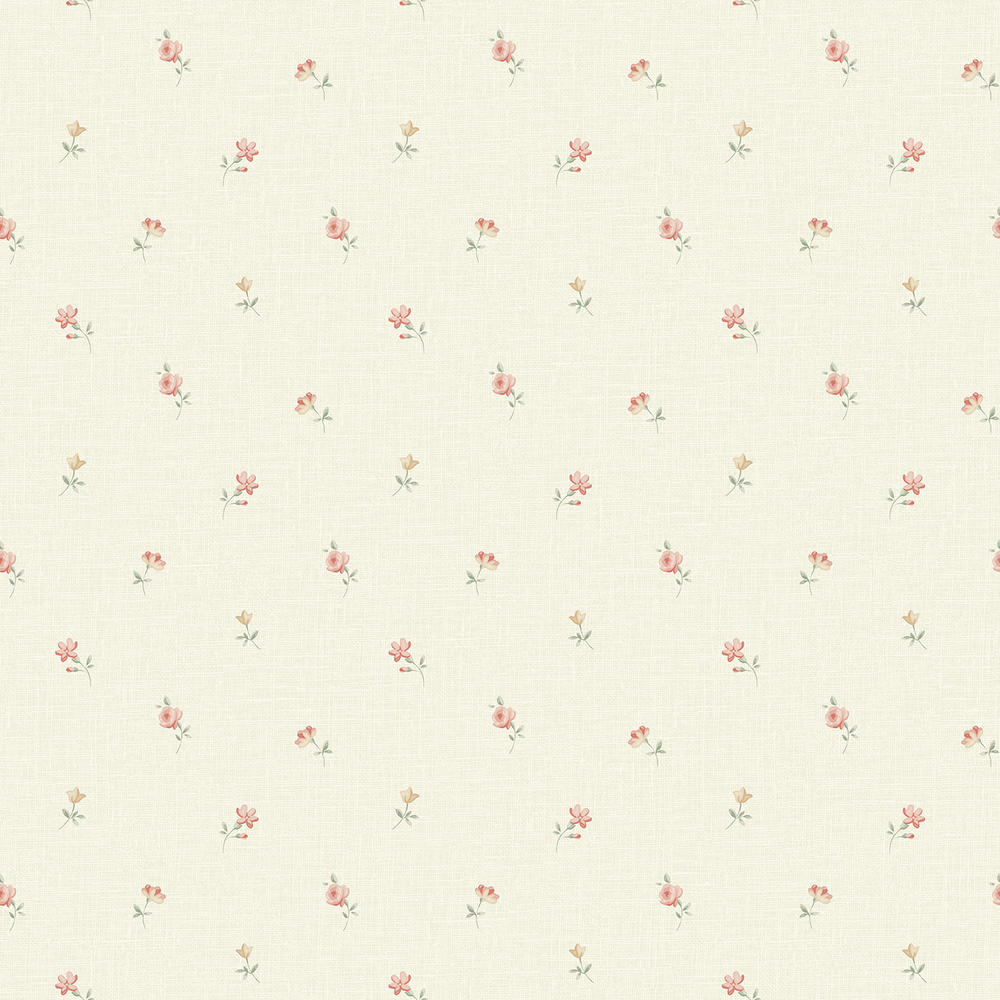 Image-product