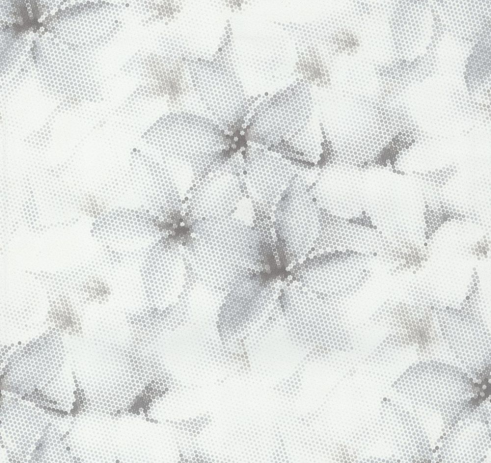 Image-product