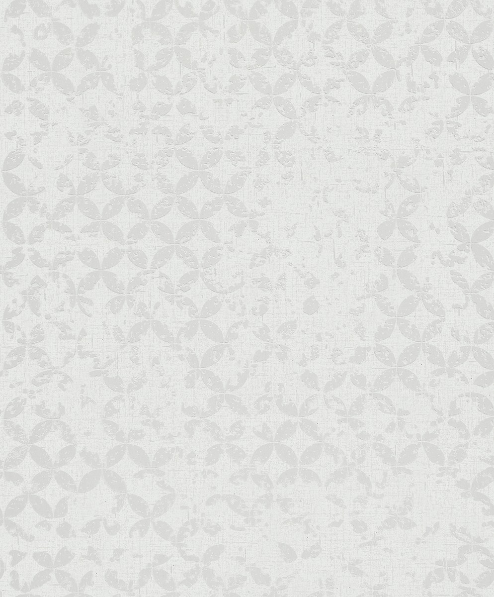 Image-product