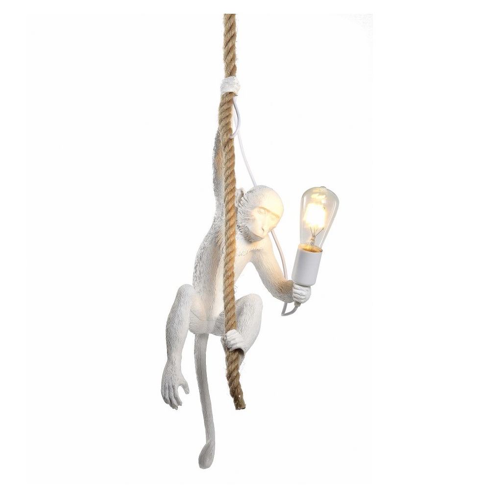 Image-product