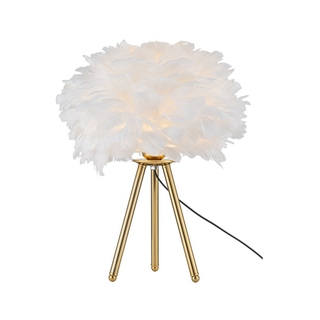 Image-product