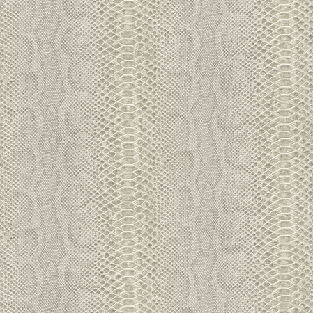Image-product
