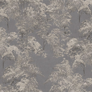 Image-product
