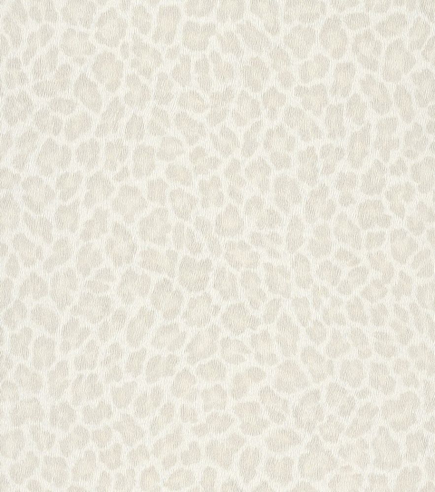 Image-product