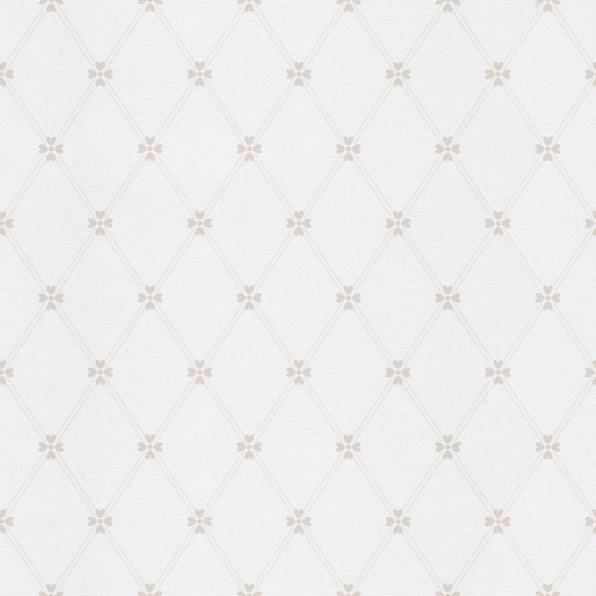 Image-product