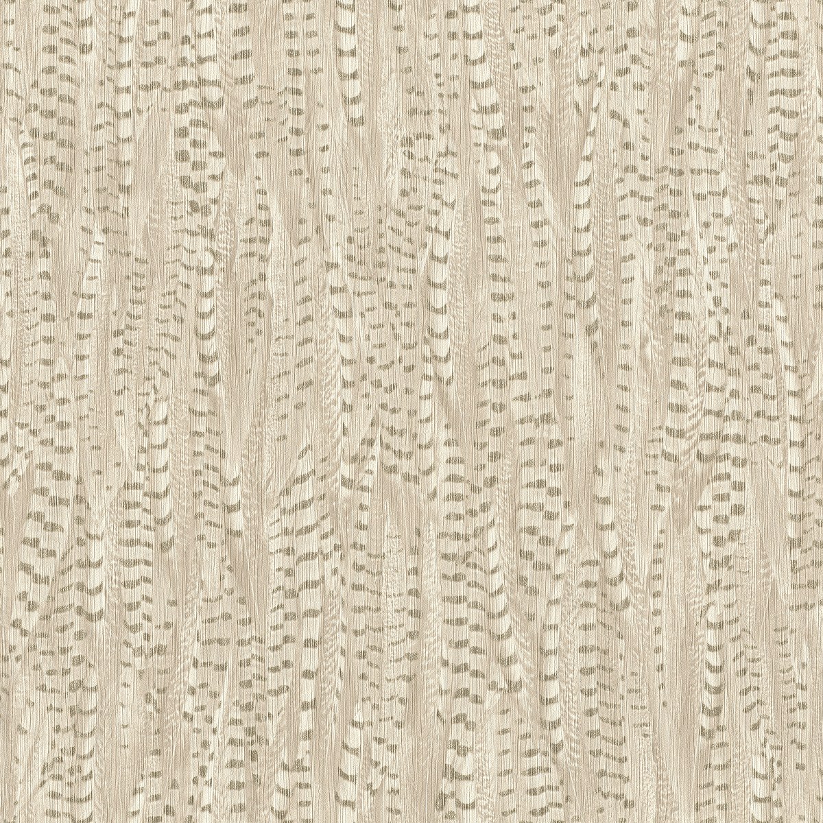 Image-product