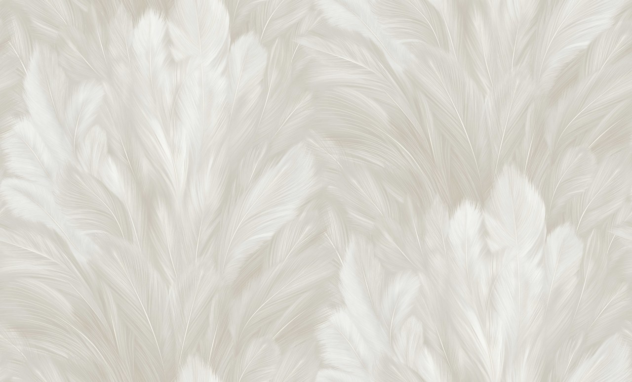 Image-product