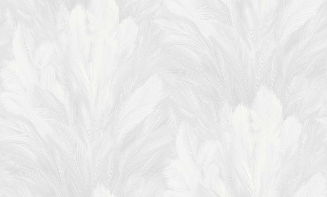 Image-product