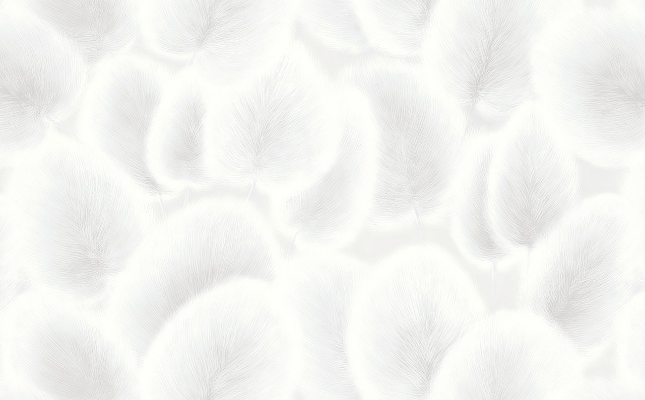 Image-product