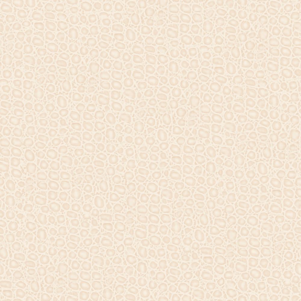 Image-product