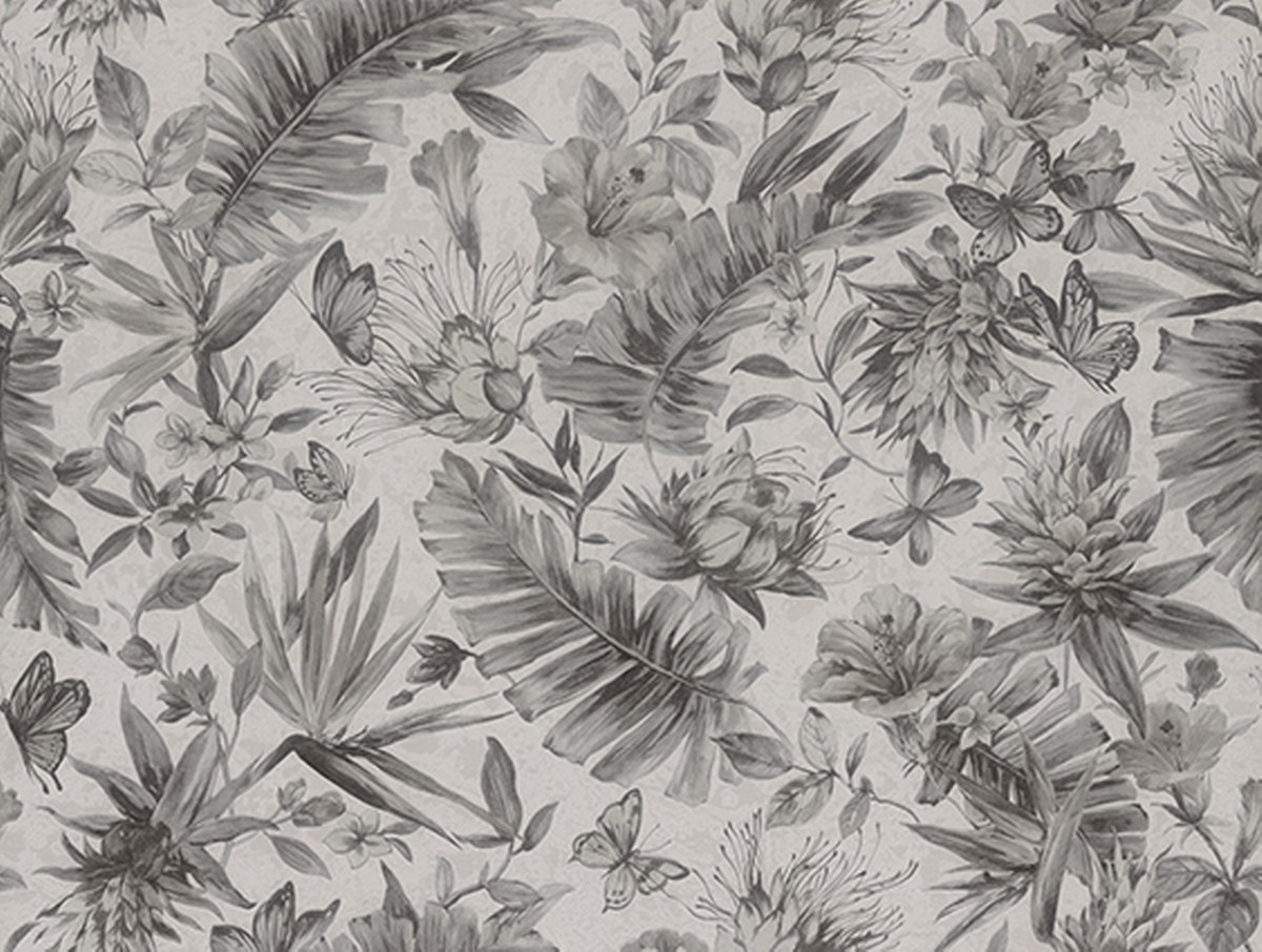 Image-product