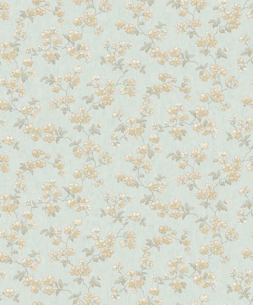 Image-product