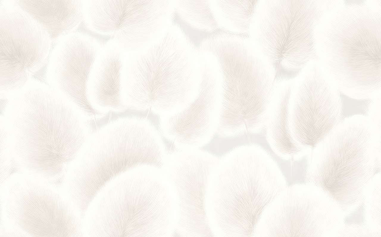 Image-product