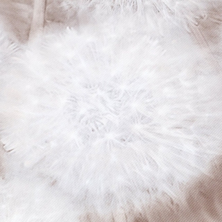 Image-product