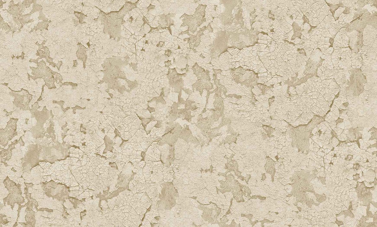 Image-product