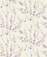 Image-product