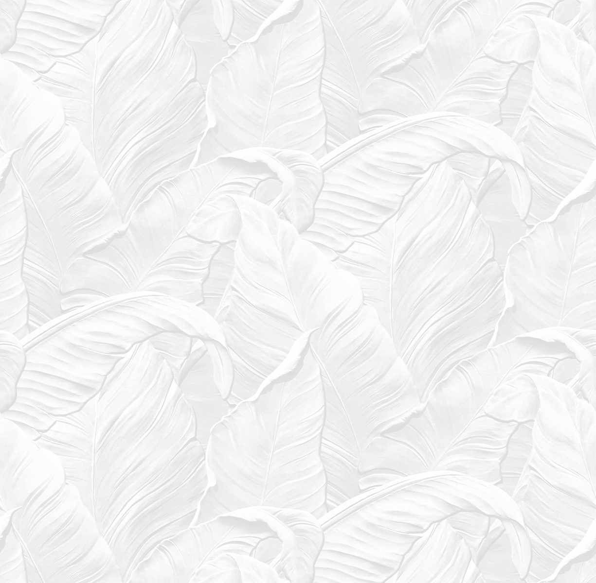 Image-product