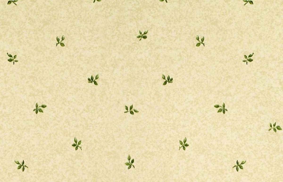 Image-product