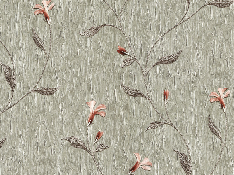 Image-product