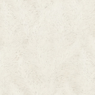 Image-product