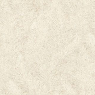 Image-product