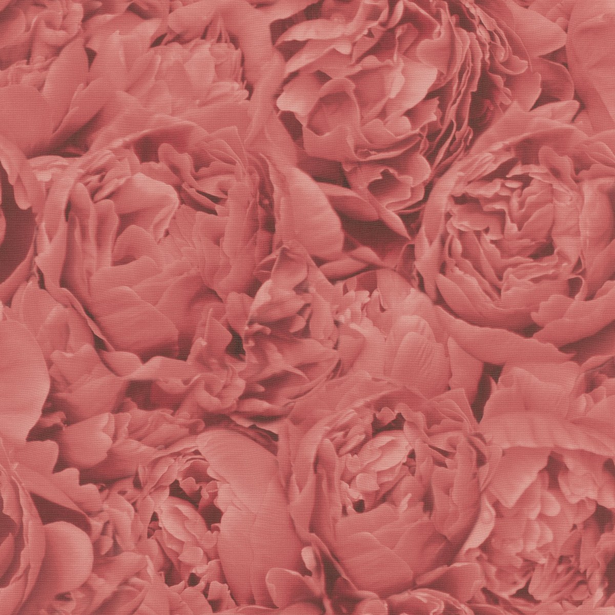 Image-product