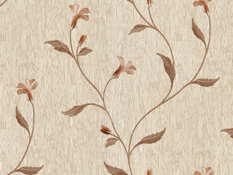 Image-product