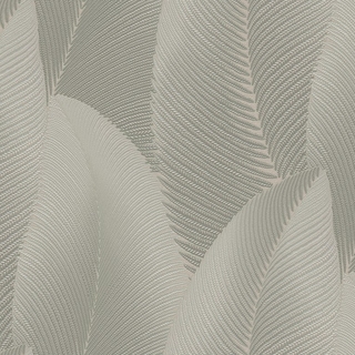 Image-product