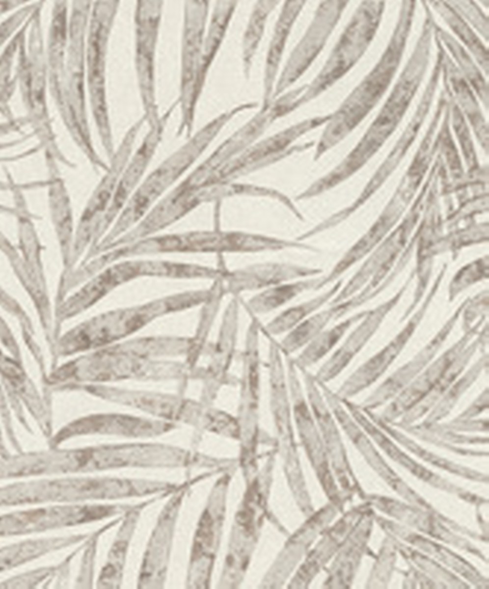 Image-product