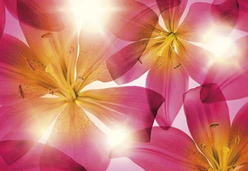 Image-product