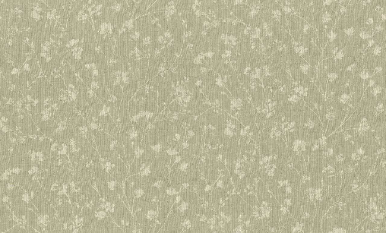 Image-product